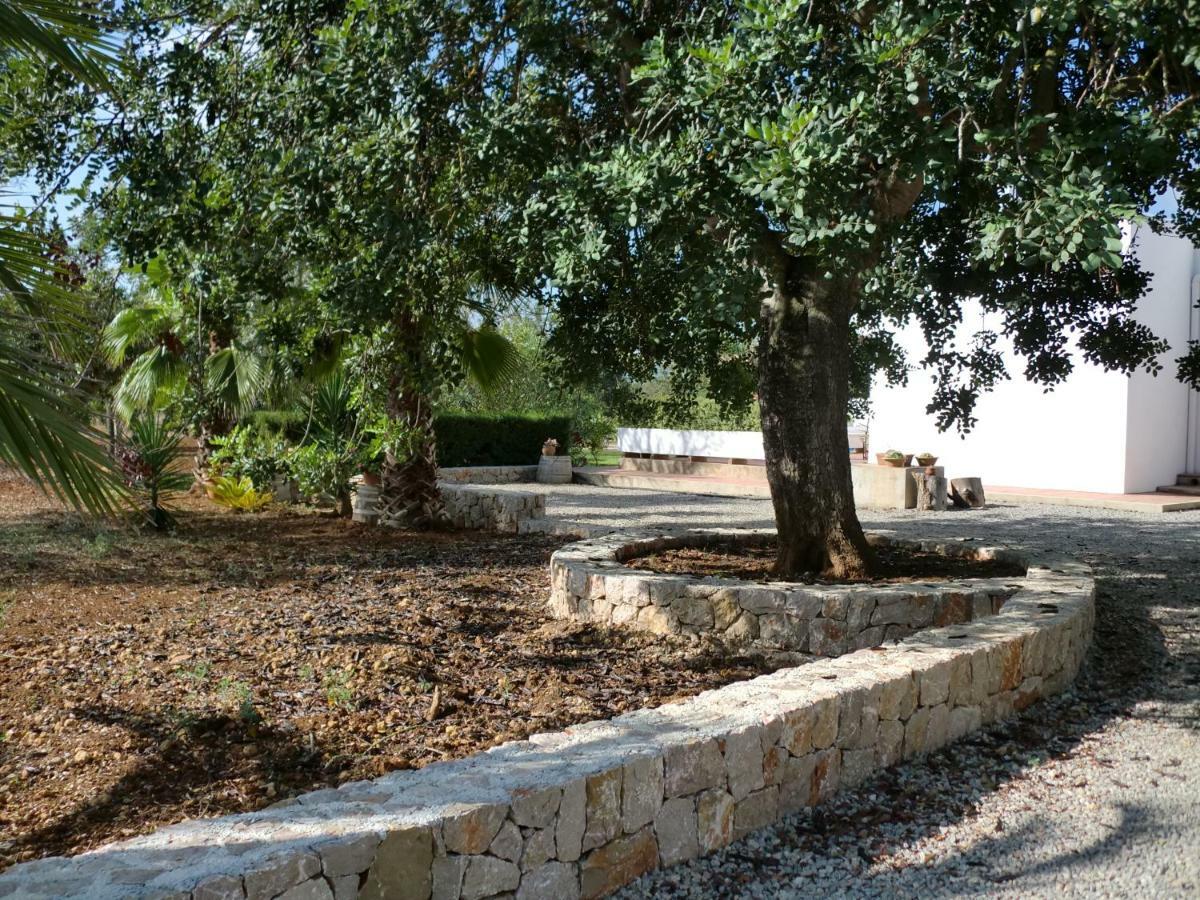 Sa Vinyeta Villa Sant Llorenc de Balafia Dış mekan fotoğraf